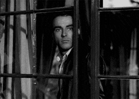 is it me youre looking for montgomery clift GIF by Maudit