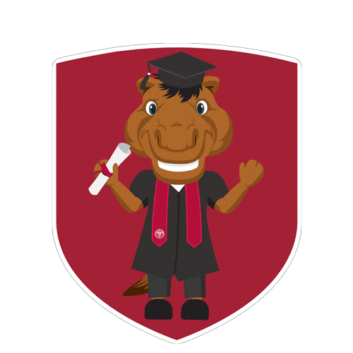 Bucky Gobroncos Sticker by SantaClaraUniversity