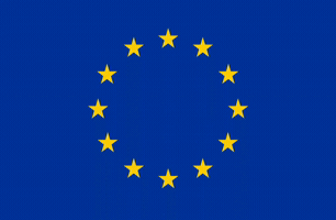 Flag Europe GIF by youareright.apparel