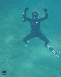 Diver Puts Hilarious Underwater Spin on TikTok Fairy Trend