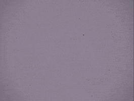 200.gif?cid=fc005b08a161cc2ade3c3a4dd015b076657f90a07620cd3f&rid=200.gif&ct=g