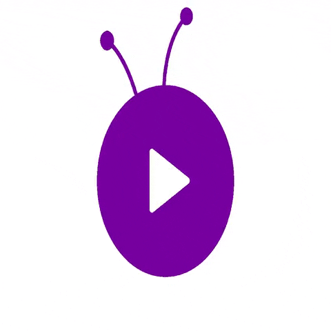 On.Flow Studio GIF