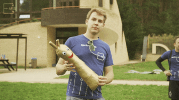 4FIS GIF