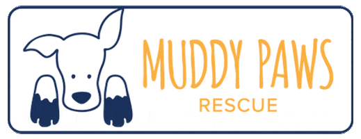 Mpr Muddy Paws GIF by Muddy Paws Rescue NYC