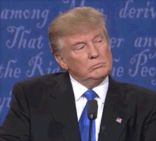 Political gif. Donald Trump during a presidential debate leans into the microphone with a serious face and says, “wrong.”