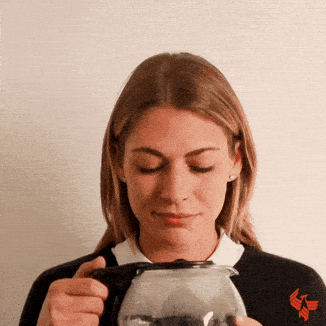 Giphy - Good Morning Drinking GIF by University of Phoenix