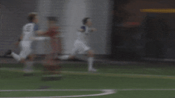 Excited Ncaa Sports GIF by Emerson College Men's Soccer