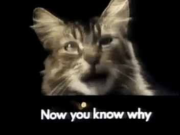 [Image: giphy.gif?cid=ecf05e47r8hybp8oj5cd0kq177...y.gif&ct=g]