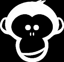 grooviemonkey music festival brand monkey GIF