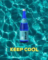 Keep Cool Sake GIF by Sorakami