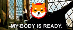 Shib GIF by Sailor SEO