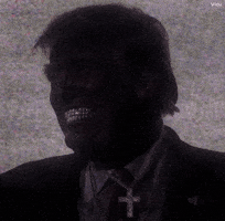 President Trump GIF
