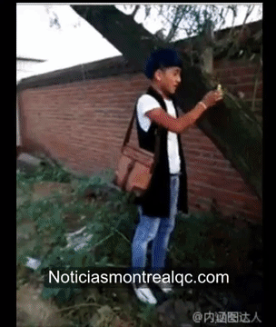 sabanas-blancas-universe  GIF