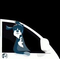 empressavenuemedia GIF