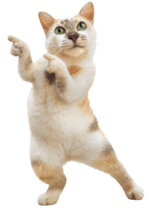 Supichichi Sticker