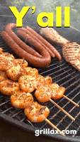 chicken grilling GIF by Grillax®