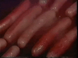 scottok hot dogs drive-in intermission snack bar GIF