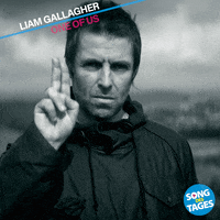 Peace Liamgallagher GIF by Song des Tages