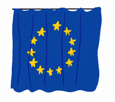 voting european union GIF by European Parliament