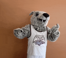 Look Right Wolf Pack GIF by Cardinal Stritch University