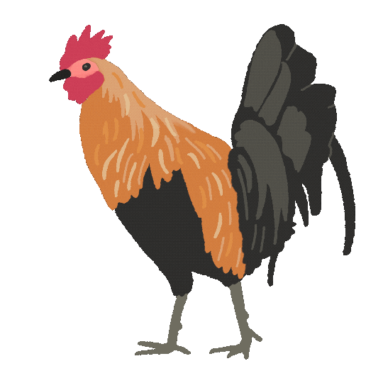 HARE KARE LLC Sticker