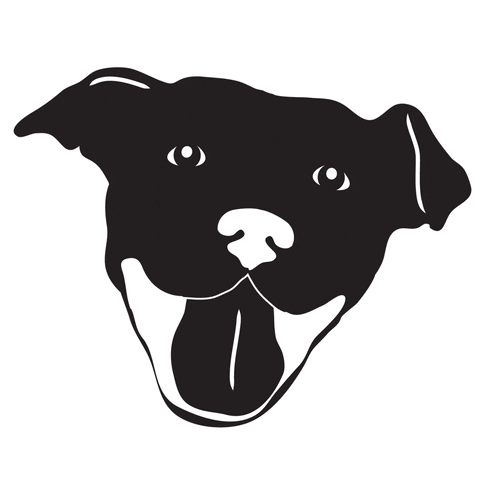 HeARTsSpeak dog adopt pit bull heartsspeak GIF