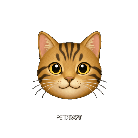 PetPivot Sticker