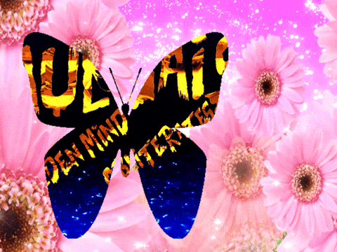 Butterfly Wallpaper GIFs - Find & Share on GIPHY