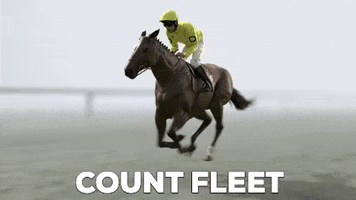 Horse Racing GIF by Kentucky Derby