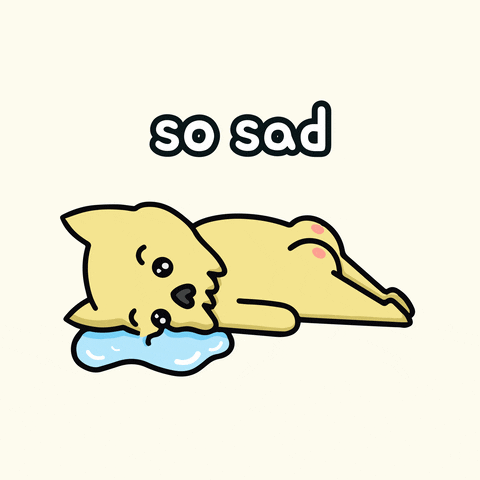 Sad Cat GIF by Skelly Cats