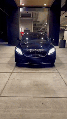 Bing GIF