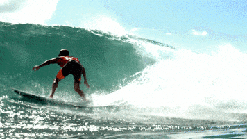 Kelly Slater Water GIF by ABC Network