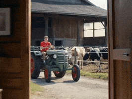 Football Soccer GIF by Herr Fuchs Zurich