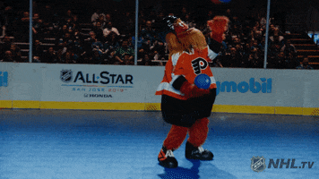 ice hockey sport GIF by NHL