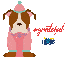 Dog Celebrate Sticker by OTM Pet Care