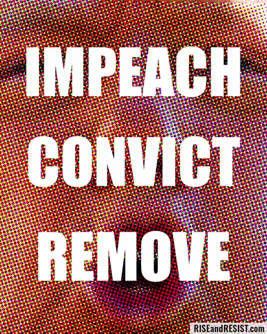 Impeach Trump GIF by RiseandResist.org
