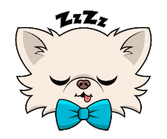 Chihuahua Cedric Sticker