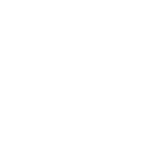 Chile Chinchilla Sticker by ChinChile Products