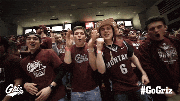 Basketball Fans GIF by Montana Grizzlies