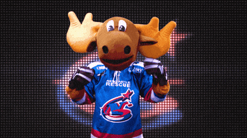 make some noise marty moose GIF by Newcastle Northstars