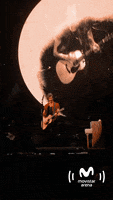 Shawn Mendes GIF by Movistar Arena Argentina