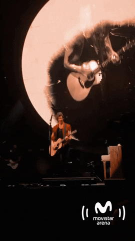Shawn Mendes GIF by Movistar Arena Argentina