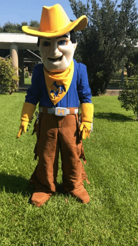 Mascot Cowboys GIF by McNeese State University