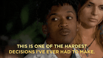 fox choose GIF by Paradise Hotel