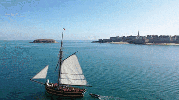 Optimist GIF