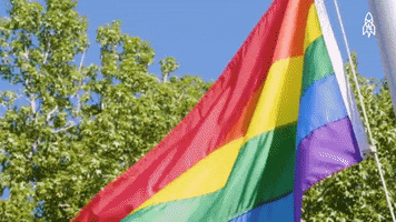 Gay Pride GIF by Great Big Story