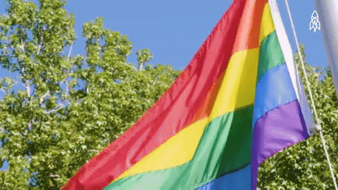 Gay Pride GIF by Great Big Story - Find & Share on GIPHY