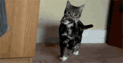 mothers day love GIF