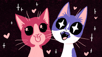 AmyRightMeow animated cats kitty i love it GIF