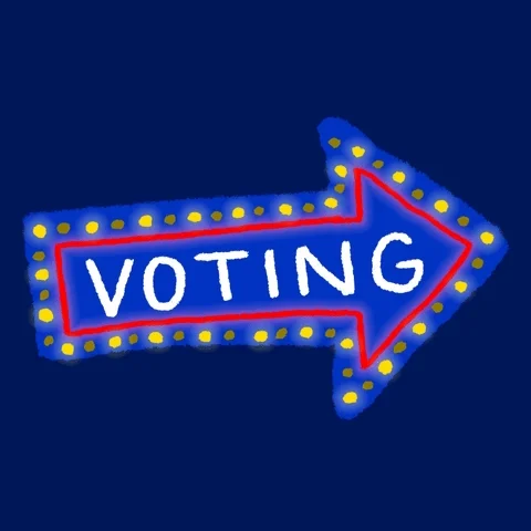 Voting Election 2020 GIF by INTO ACTION